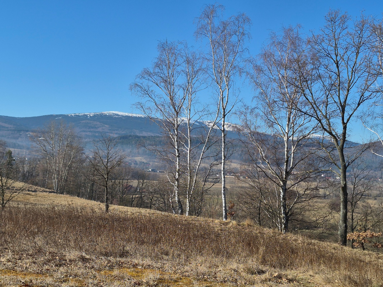 Widok na Karkonosze
